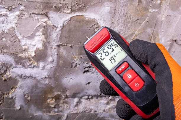Best Mold Remediation  in East Alton, IL