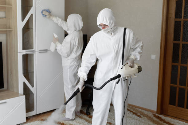 Best Commercial Mold Removal  in East Alton, IL
