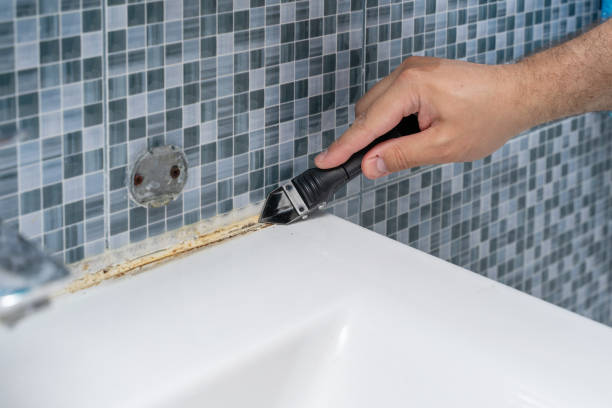 Best Local Mold Removal Service  in East Alton, IL