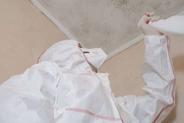 Best Mold Testing  in East Alton, IL