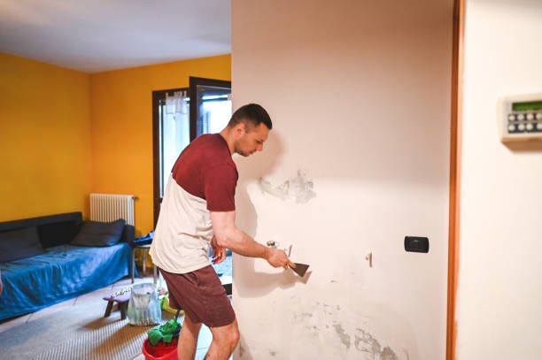 Best Mold Testing and Removal  in East Alton, IL